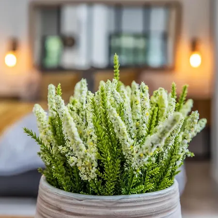 Апартаменты Garesc Lofts Кордова