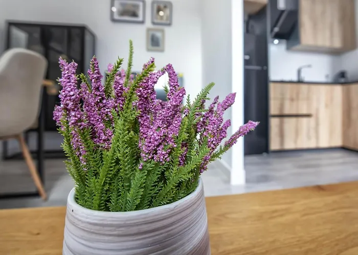 Garesc Lofts Апартаменти *