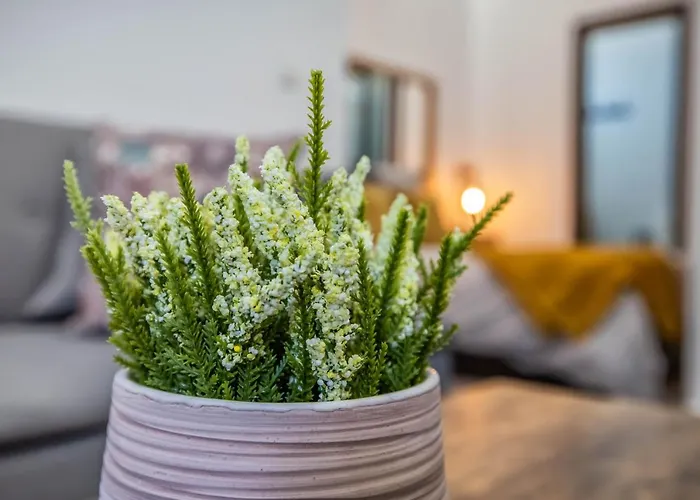 Апартаменти Garesc Lofts *