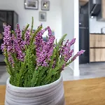 Garesc Lofts Apartment *