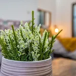 Apartment Garesc Lofts *