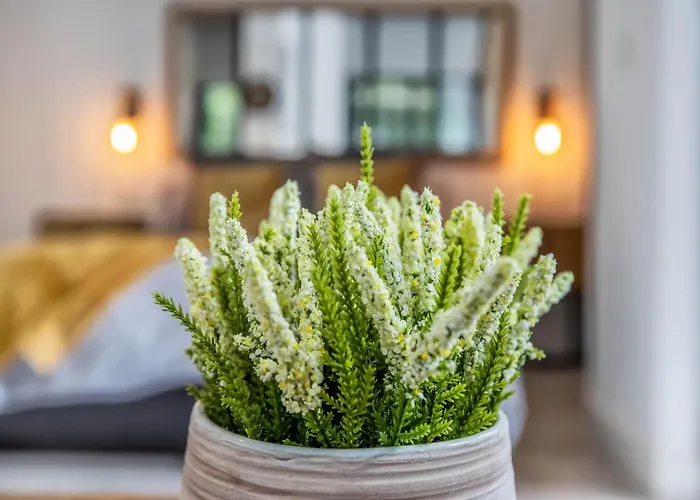 Апартаменты Garesc Lofts Кордова